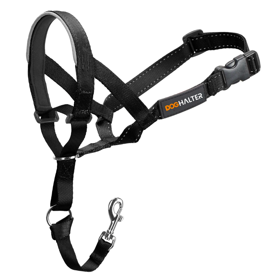 Dog Halter