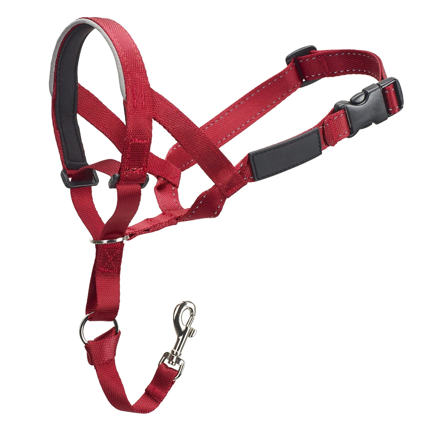Dog Halter